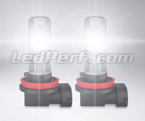 H16 Osram LEDriving HL Easy LED bulbs for fog lights in operation