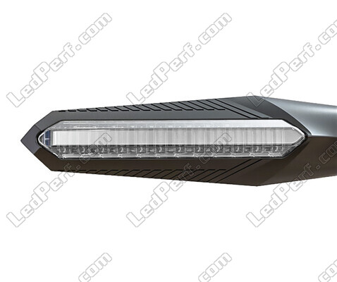 Front view of dynamic LED turn signals with Daytime Running Light for Aprilia Caponord 1000 ETV