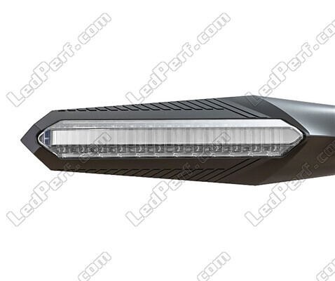 Front view of dynamic LED turn signals + brake lights for BMW Motorrad F 800 GT